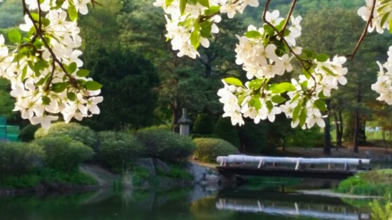 E하늘 보건복지부 장사정보서비스 포털 제공 이미지 - 2015-04-30_21_27_39