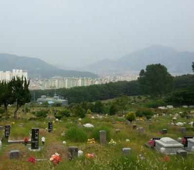 E하늘 보건복지부 장사정보서비스 포털 제공 이미지 - 대정공원묘원