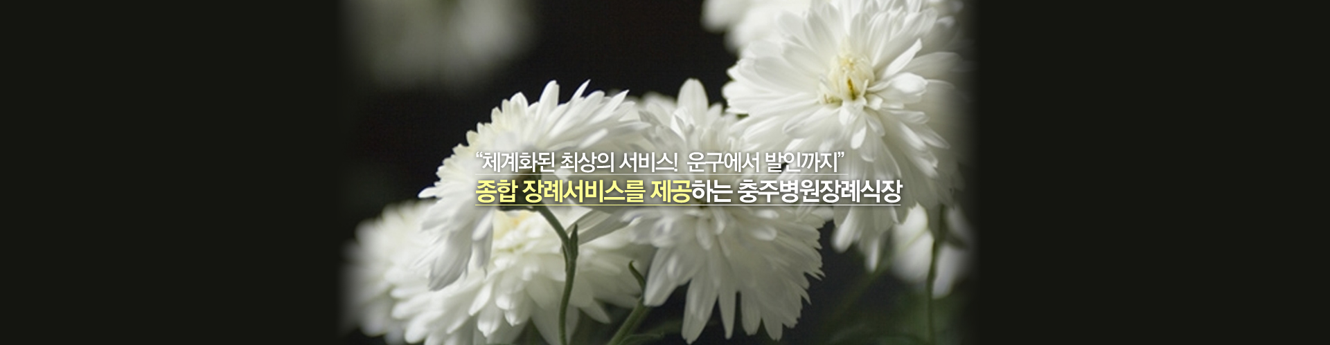 E하늘 보건복지부 장사정보서비스 포털 제공 이미지 - m02