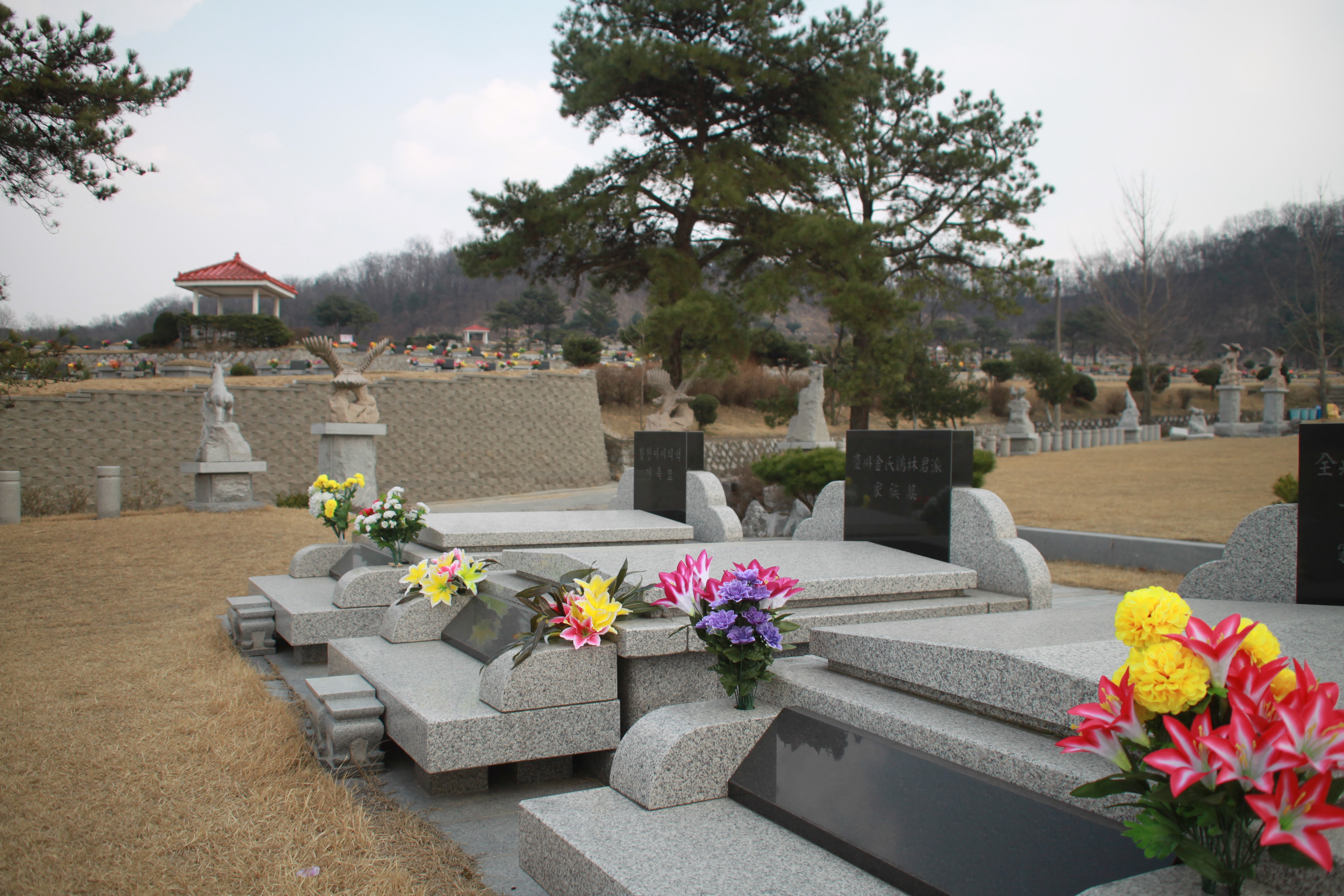 E하늘 보건복지부 장사정보서비스 포털 제공 이미지 - ㅣ