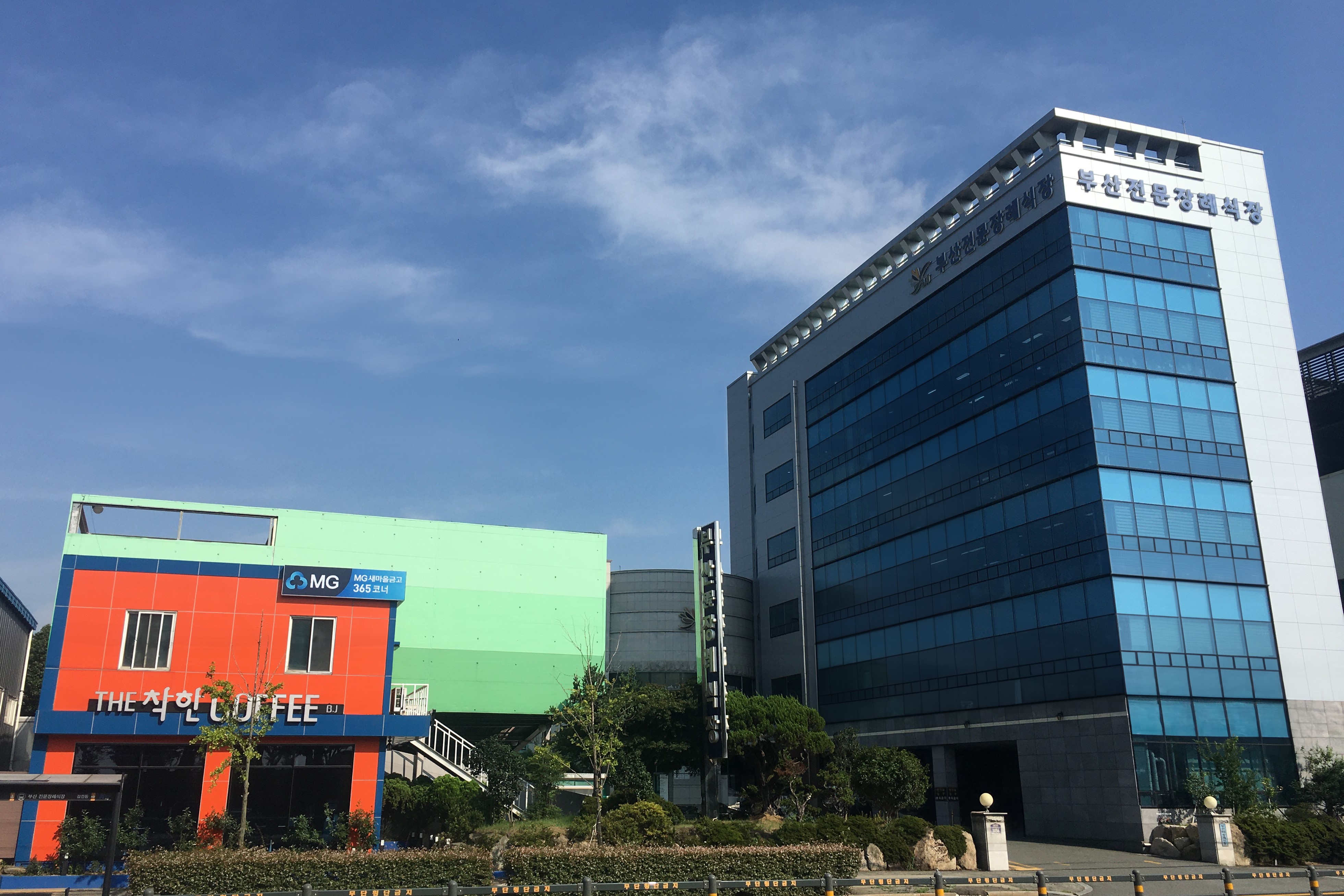E하늘 보건복지부 장사정보서비스 포털 제공 이미지 - 1732840827736-1