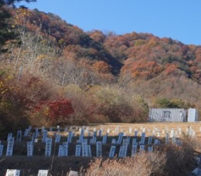 E하늘 보건복지부 장사정보서비스 포털 제공 이미지 - 거창공설공원묘지