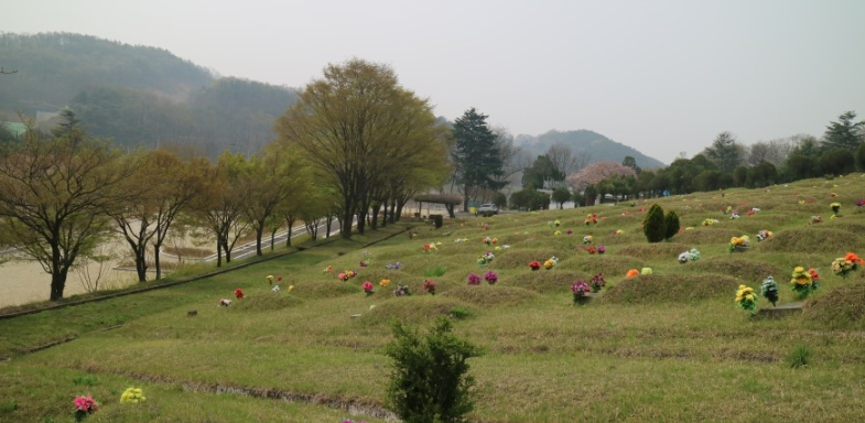 E하늘 보건복지부 장사정보서비스 포털 제공 이미지 - 대구공원