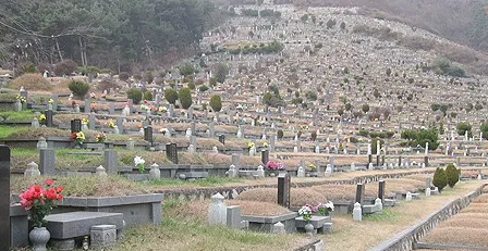 E하늘 보건복지부 장사정보서비스 포털 제공 이미지 - 볼음공설묘지