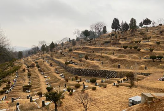 E하늘 보건복지부 장사정보서비스 포털 제공 이미지 - 구미시옥계공설묘지
