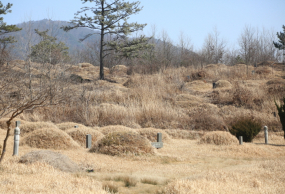 E하늘 보건복지부 장사정보서비스 포털 제공 이미지 - 인산리 공설묘지