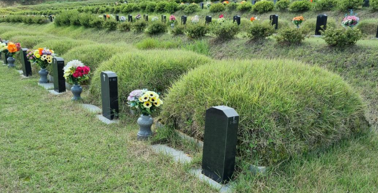 E하늘 보건복지부 장사정보서비스 포털 제공 이미지 - 장정리공설묘지