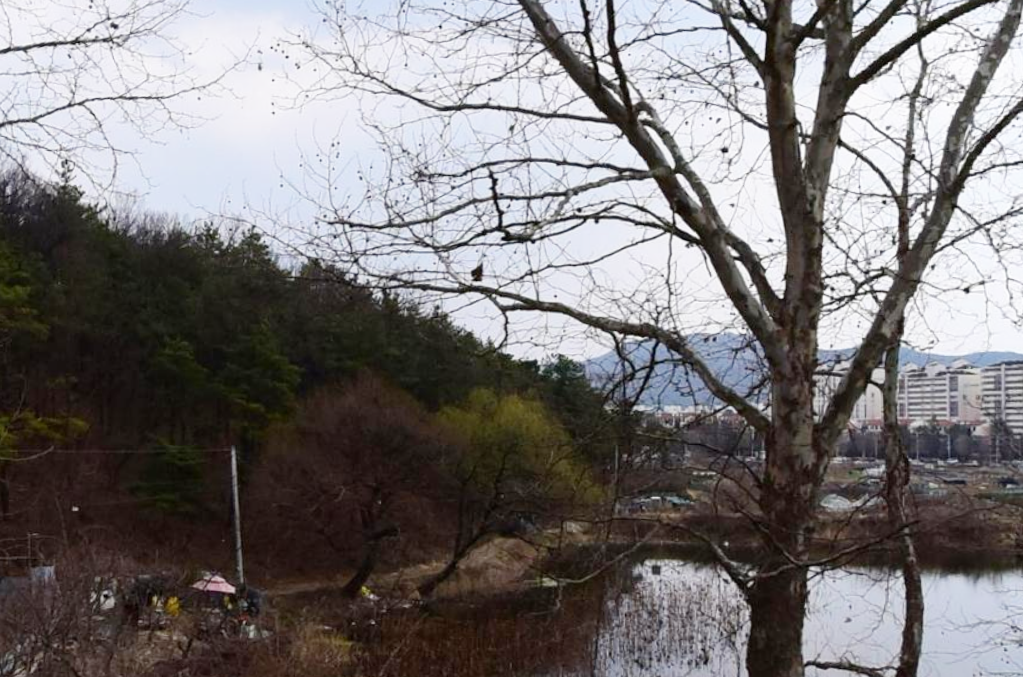 E하늘 보건복지부 장사정보서비스 포털 제공 이미지 - 대구중부교회묘지