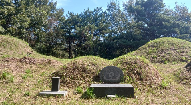 E하늘 보건복지부 장사정보서비스 포털 제공 이미지 - 신산리공설묘지