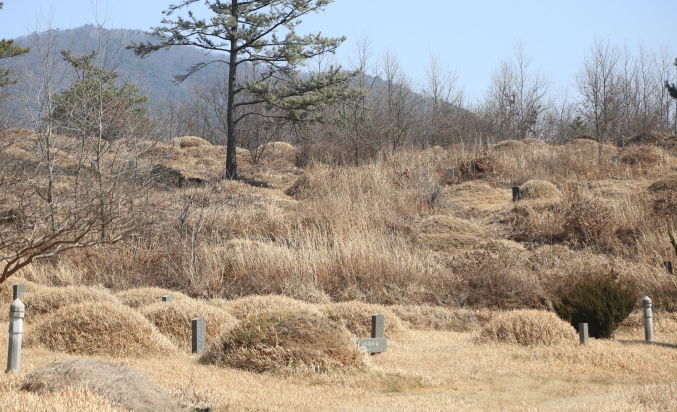 E하늘 보건복지부 장사정보서비스 포털 제공 이미지 - 신암리공설묘지