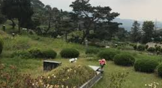 E하늘 보건복지부 장사정보서비스 포털 제공 이미지 - 구암리공설묘지