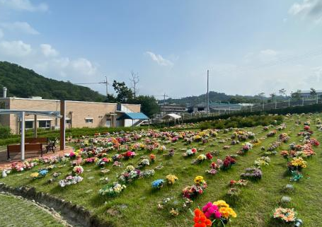 E하늘 보건복지부 장사정보서비스 포털 제공 이미지 - 광석리공설묘지