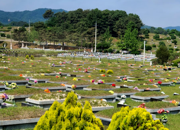 E하늘 보건복지부 장사정보서비스 포털 제공 이미지 - 석우리공설묘지