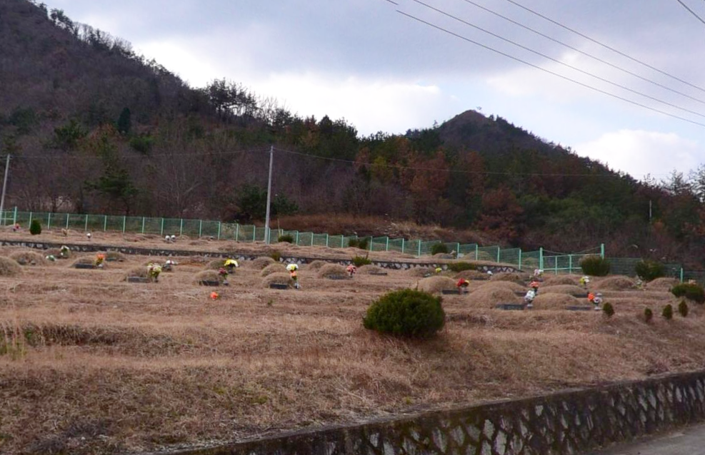 E하늘 보건복지부 장사정보서비스 포털 제공 이미지 - 고성군장기공설묘지(봉안묘)