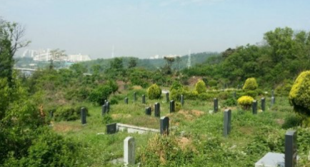 E하늘 보건복지부 장사정보서비스 포털 제공 이미지 - 이동공설묘지(만장)